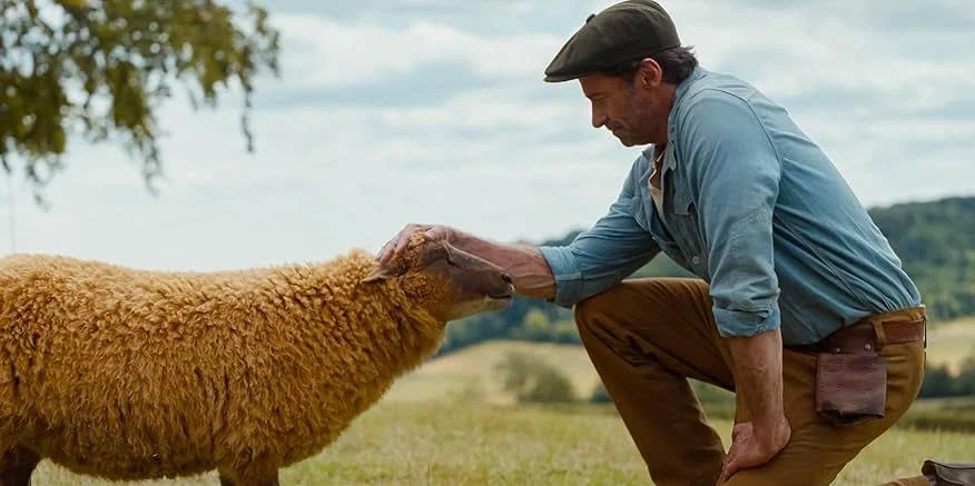 Hugh Jackman Pimpin Kawanan Domba Detektif dalam Film Misteri Terbaru ‘The Sheep Detective’