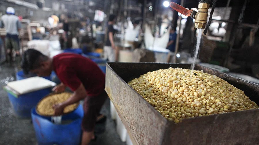 Pengusaha Tahu Banyuwangi Mulai Gulung Tikar, Harga Kedelai Impor Naik Akibat Rupiah Melemah Harga Kedelai Impor