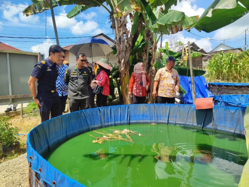Merica, Cabai, Kratom dari Kalimantan Tembus Pasar Ekspor Global Hingga India & AS