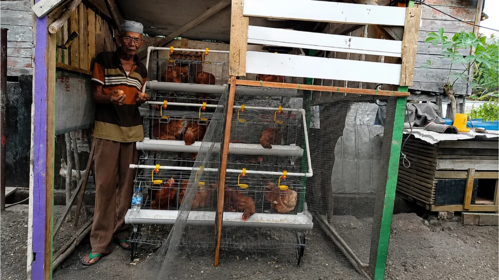 Dari Kandang Ayam Samping Rumah, Amat Surman Tumbuhkan Harapan Baru
