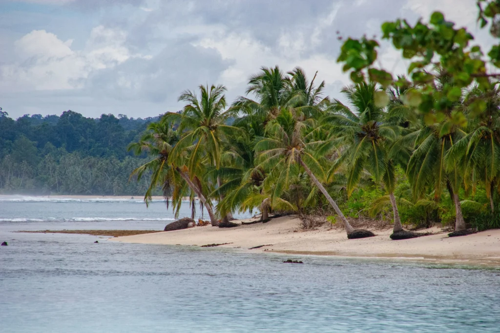 Mitigasi Bencana Kawasan Pantai, BMKG Pasang Radar Pemantau Laut di Aceh